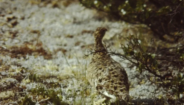 Possessão Filmes: Descubra os Melhores Títulos e Análises