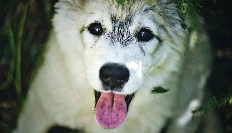 Excluir permanentemente: o que é e como proteger seus dados