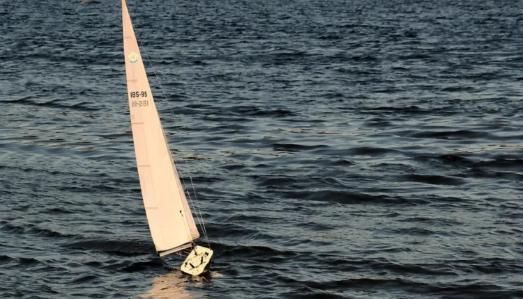 Controle Remoto para Celular LG: Como Usar e Controlar TV